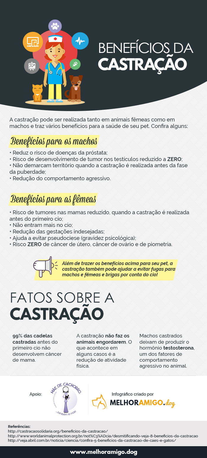 Infográfico com os benefícios da castração