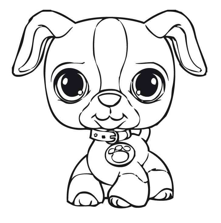 desenhos de cachorros para colorir melhoramigo dog